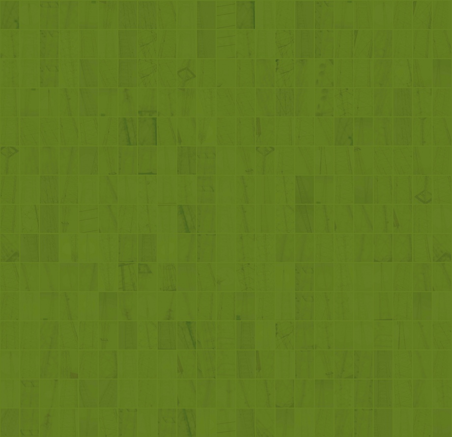 INVISIBLE / VELO 3