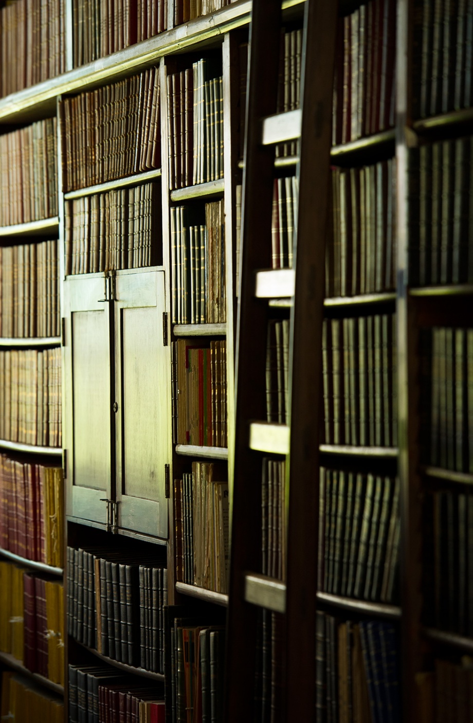Biblioteca Sao Bento / Revista Bons Fluidos