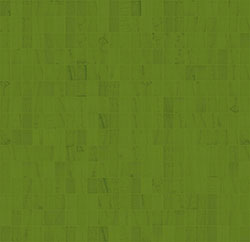 INVISIBLE / VELO 3
