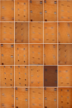 JANELAS / 3 E 