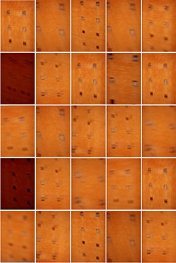 JANELAS / 3 C
