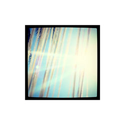 6 X 6 / 0344