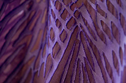  Lino Villaventura / Revista RSVP
