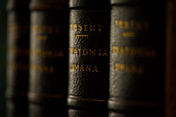 Biblioteca Sao Bento / Revista Bons Fluidos