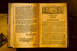 Biblioteca Sao Bento / Revista Bons Fluidos