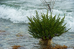 Lago Nahuel Huapi