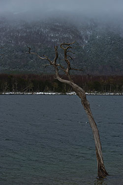 Ushuaia Argentina