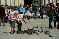 Veneza Abril 2012