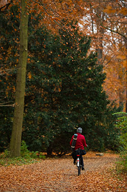 Berlim Novembro 2012