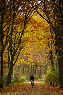 Berlim Novembro 2012