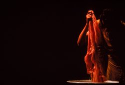 Sao Paulo Bienal 1989 / Homenagem a Xul Solar 